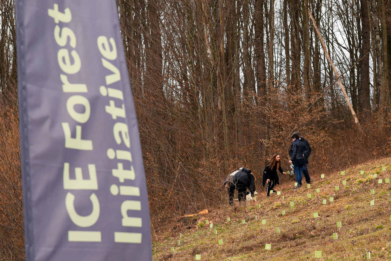 Planting trees for every company that participated in ICE19.